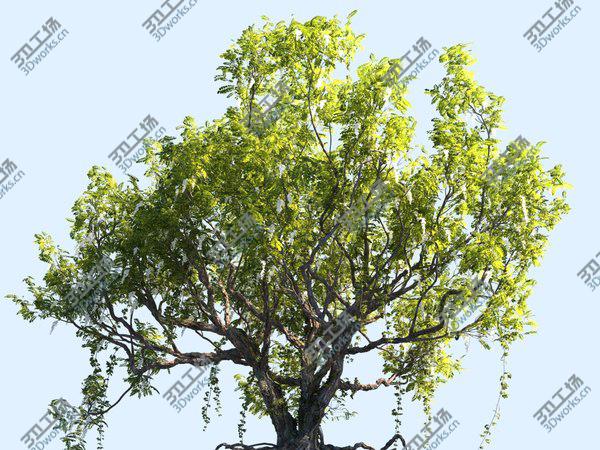 images/goods_img/20210312/3D Tree Animated HD model/3.jpg